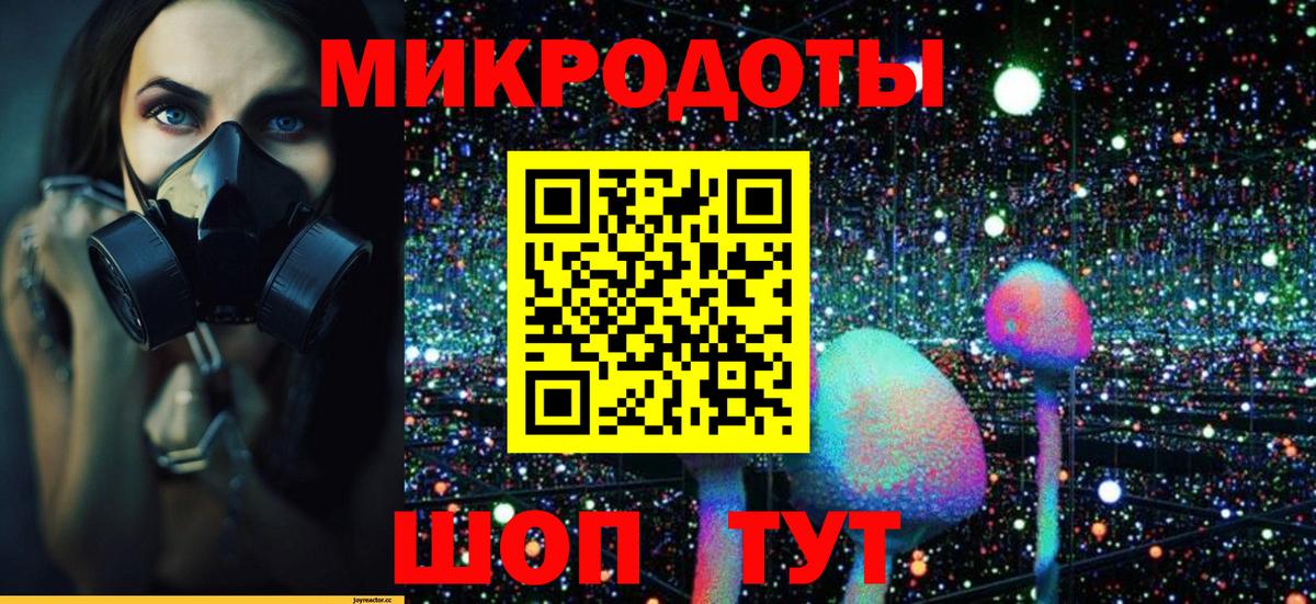 Галлюциногенные грибы MAGIC MUSHROOMS Советск